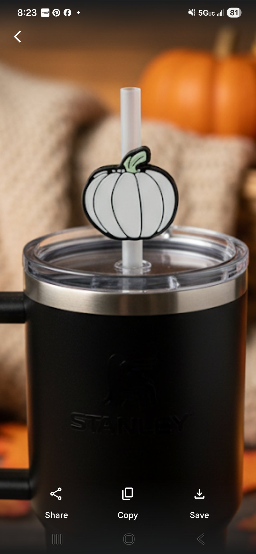 Straw Topper Pumpkin